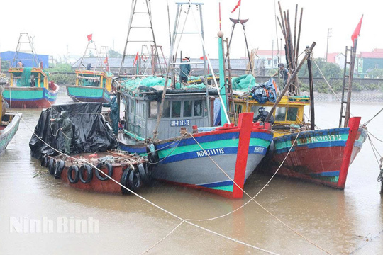 Tăng cường lãnh đạo, chỉ đạo công tác ứng phó với bão số 3 (WIPHA)